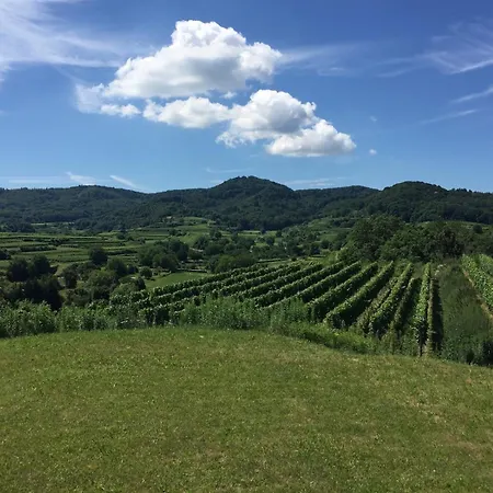 بيت للعطل Gaestehaus Linde